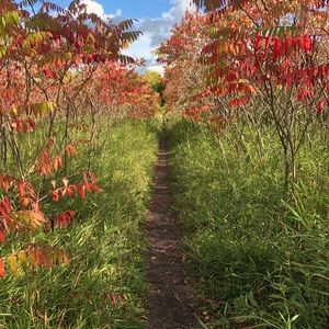 Meet your Posher, Cori